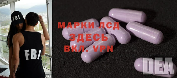 spice Аркадак