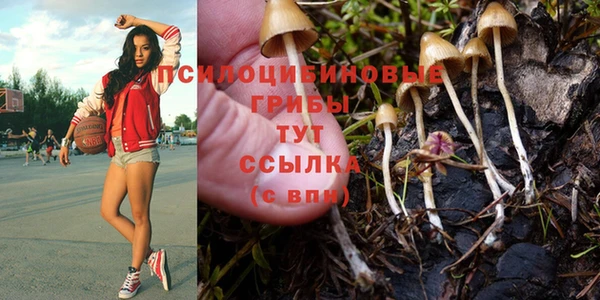 таблы Армянск