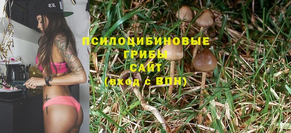 spice Аркадак