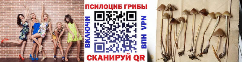kraken онион Удомля Галлюциногенные грибы мухоморы где можно купить